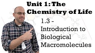 AP Bio Unit 1  13 Introduction of Biological Macromolecules [upl. by Tlaw]