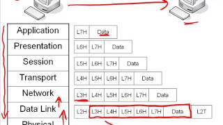 5Data Encapsulation OSI TCPIP [upl. by Nyram996]