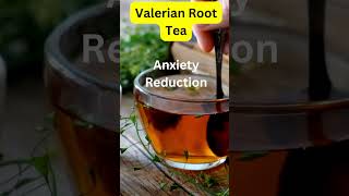 Unwind Naturally Valerian Root Tea Benefits Explained tea wellnesstea herbalremedy [upl. by Cavanaugh454]