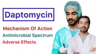 Daptomycin  Mechanisms of action  Antimicrobial spectrum  Adverse Effects [upl. by Enilauqcaj620]