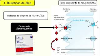 DIURÉTICOSFarmacologia [upl. by Aamsa]