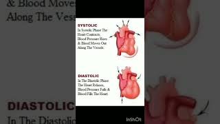 Systolic diastolic calmdown music viralshort allaboutnorcet medicaleducation norcetstudytips [upl. by Ru]