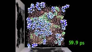 Oil and water separation by molecular dynamics simulation [upl. by Edina]