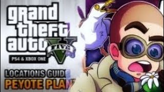 grand theft auto plants locations guide gtav [upl. by Nedla]