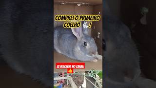 COELHO NOVO INTEGRANTE DO CANAL CRIATÓRIO RNcoelho [upl. by Ronnie]