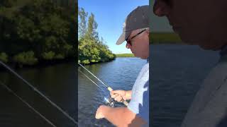 Biscayne Bay Tarpon on light Tackel hitthat fishmiami saltstrong [upl. by Naldo]