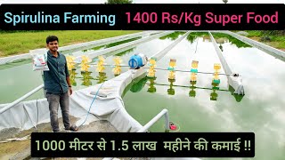 Spirulina Farming  1400 Rs Kg Super Food  1000 मीटर से 15 लाख महीने की कमाई  Hello Kisaan [upl. by Akiehs]