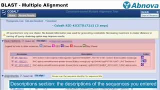 BLAST  Multiple Alignment [upl. by Skurnik]