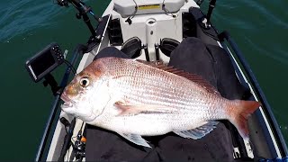 Kayak fishing for Snapper  Snapper fishing Melbourne Port Phillip Bay [upl. by Ydnes]