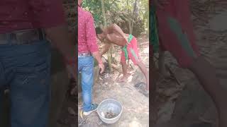 জমেথাকা জল কেনো গড়িয়ে দিবো dengue [upl. by Delmer]