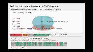 The Sound of the quotNucleocapsid Phosphoproteinquot gene from SARSCoV2 [upl. by Chui]