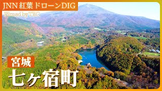 南蔵王 長老湖・やまびこ吊り橋【JNN 紅葉ドローンDIG 2023】 TBS NEWS DIG [upl. by Siloa673]