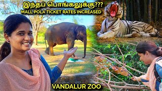 VANDALUR ZOO 2022 Arignar Anna Zoological park vandalur chennai zoo [upl. by Animrelliug]