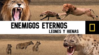 EL MEJOR DOCUMENTAL de la NAT GEO  NTWADUMELA  EL ASESINO DE HIENAS [upl. by Asilanom749]