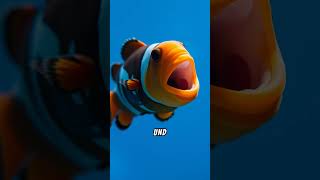 Clownfische Mehr als nur Nemo 🐠 [upl. by Geddes]