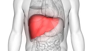 Acute fulminant Hepatitis or Acute liver failure [upl. by Akiraa]