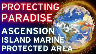 Protecting Paradise The future of the Ascension Island Marine Protected Area  video abstract [upl. by Anitsyrc]