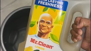 Floor scrub using lemon Mr clean 🍋✨💛🫧 [upl. by Dal]