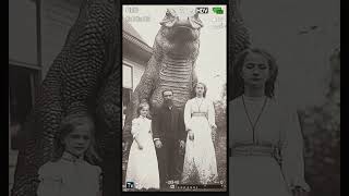 Giant Lazard omiomi story youtubeshorts history historia historical fyp foryou viral [upl. by Enitsed]