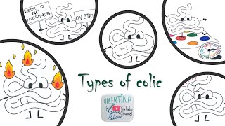 Types of colic in horses  Vet students [upl. by Odracer]