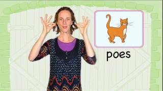 Leer het gebaar voor Poes Kindergebaren met LotteampMax [upl. by Marleen817]