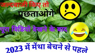 मेंथा तेल का रेट कब बढ़ता है mentha oil rate kab badega 2023 [upl. by Froma]