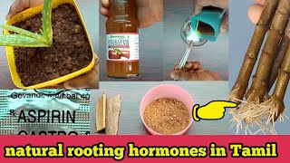 5 Natural Rooting Hormones in Tamil 5 powerful organic rooting hormones in Tamil [upl. by Sokram]