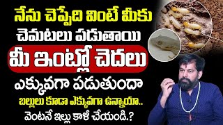 Intlo Chedalu Vunaya  మీ ఇంటికి చెదలు పడితే మీ ఇంట్లో జరగబోయేది ఇదే  Pradeep Joshi [upl. by Figone]