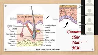 🔴 Dermatology أسئلة الديرما العلمية للانترفيو DrHazem Sayed [upl. by Nyrroc]