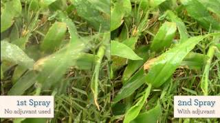 The Benefit of Adjuvants in a Foliar Spray Program [upl. by Suolekcin554]