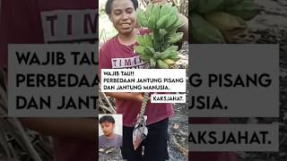 Perbedaan jantung🤣🤣 reaction komedi sc kaksjahat [upl. by Esirrehc]