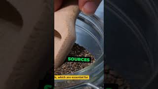 Chia Seeds Weight Loss amp Bone Health [upl. by Nyraa]