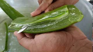 How to make Aloe Vera juice to drink at home [upl. by Airotnahs]