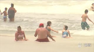 Clearwater officials close swimming at Pier 60 Wednesday urge people to stay out of water [upl. by Reinal]