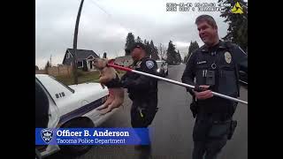 Officers Chase quotNoncompliant Pigquot in Tacoma [upl. by Marsh]