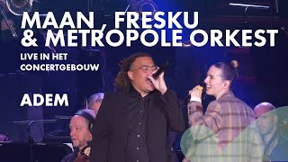 Maan Fresku amp Metropole orkest  Adem  Live in Het Concertgebouw 2023 [upl. by Pitchford]