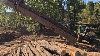 Running Buck Saw on Log Yard but Moving to New Job Soon [upl. by Cohlette]