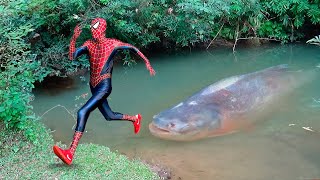 Homem Aranha e o Monstro Peixe Aranha Histórias de SUPER HERÓIS [upl. by Marie-Ann]