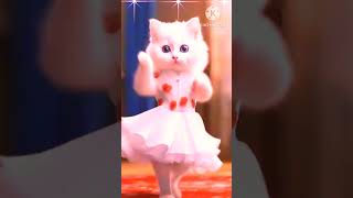 husn tera tauba tauba  karan aujla  cute cat dance video trending viral cute smartcat [upl. by Ruel]