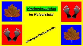 🐿🍁🌷Unterwegs im Kaiserstuhl auf dem Knabenkrautpfad von Bötzingen nach Breisach am Rhein [upl. by Nylzaj220]