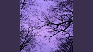 Funereal purplecolored sky [upl. by Eelyrag]