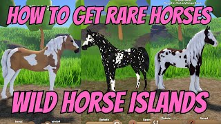 HOW TO GET RARE HORSES ON WILD HORSE ISLANDS  ROBLOX [upl. by Cronin61]