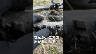 【マウンテンバイク】20230115 タイヤに枝が突き刺さる【MTB】 [upl. by Firman]