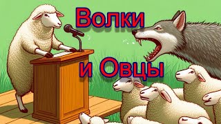 Волки и Овцы Wolves and Sheep  Music Lyrics and accompaniment  Vlad Shine [upl. by Vasilek]