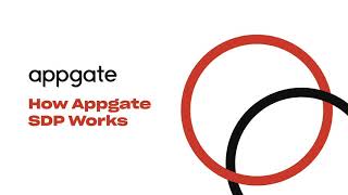 How Appgate SDP Works [upl. by Hplodur526]