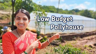 low cost पण full profitable लाखो रुपयांची बचत करणारा पोलीहाऊस कसा बांधावा 🙏 शेतकरी pollyhouse [upl. by Sldney325]