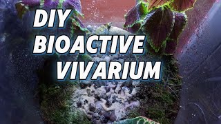 Diy Bioactive Vivarium  In Depth Tutorial [upl. by Kistner6]