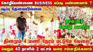 Broiler Chicken Farming எப்படி பண்ணலாம்  கோழிப்பண்ணை  Poultry Farm Business Ideas amp Plan [upl. by Denbrook249]