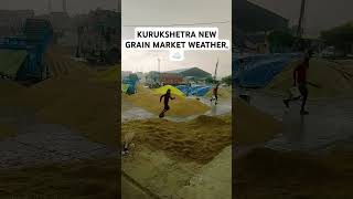 KURUKSHETRA NEW GRAIN MARKET WEATHER BARISH KA MAUSAM [upl. by Eerak]