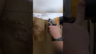 Dewalt Jigsaw in Action oddlysatisfying [upl. by Emmi]